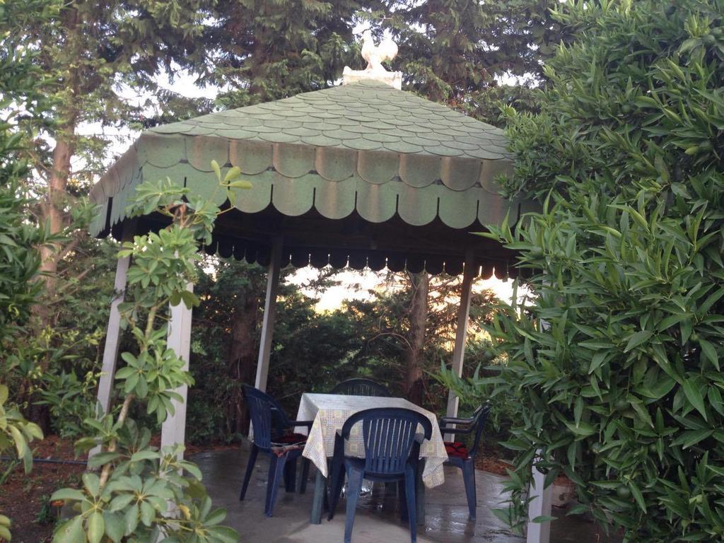 Guesthouse Anila Divjake Exterior photo