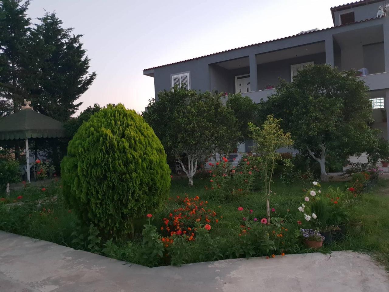 Guesthouse Anila Divjake Exterior photo
